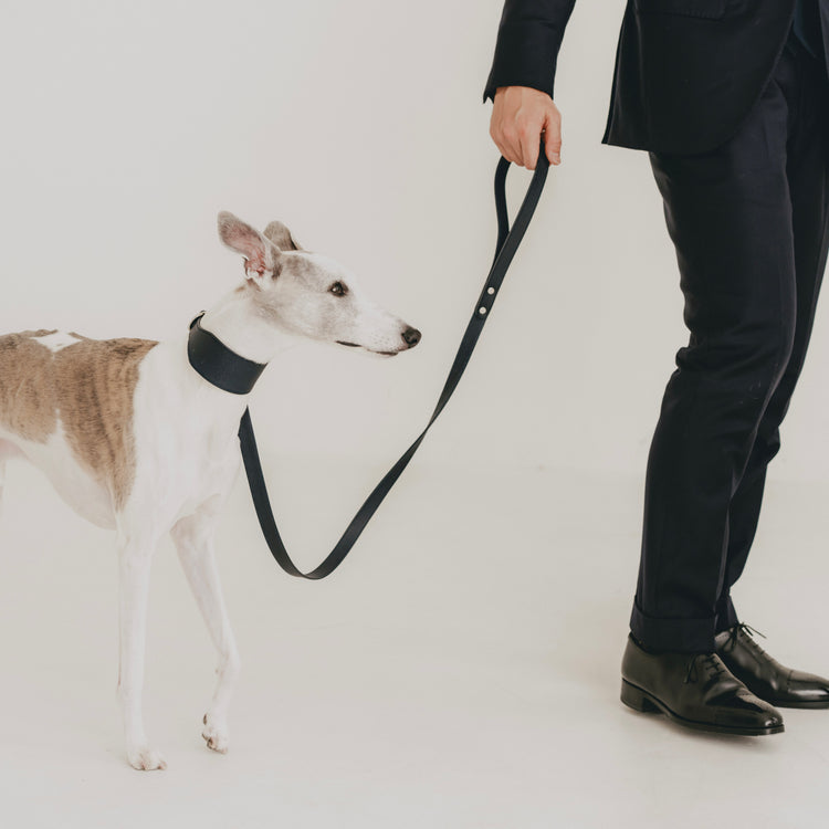 中型犬向け 「ワイド幅」 首輪&リーシュ