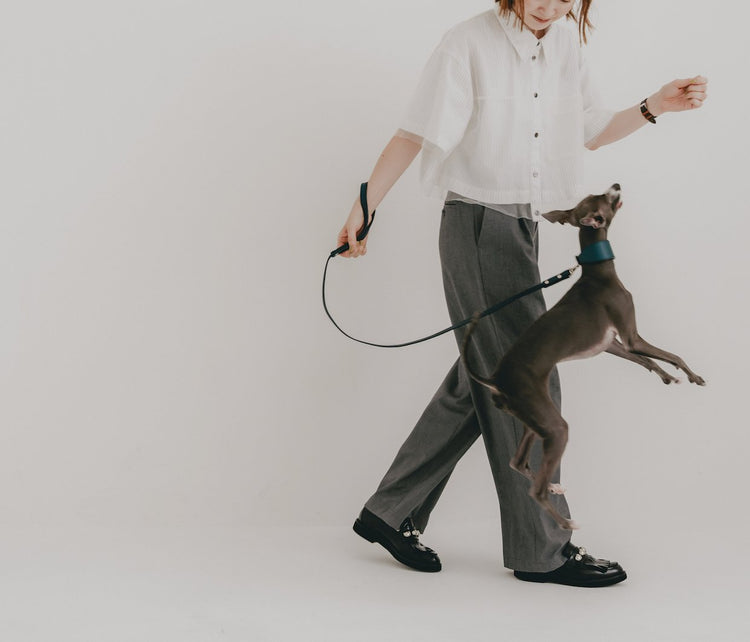 小型犬向け 「ワイド幅」 首輪&リーシュ