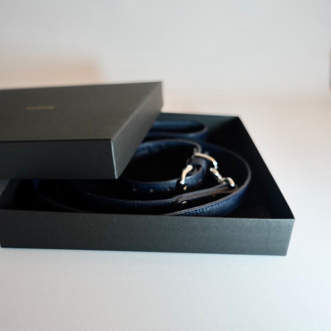 Classic standard dog collar & leash, Oceano S