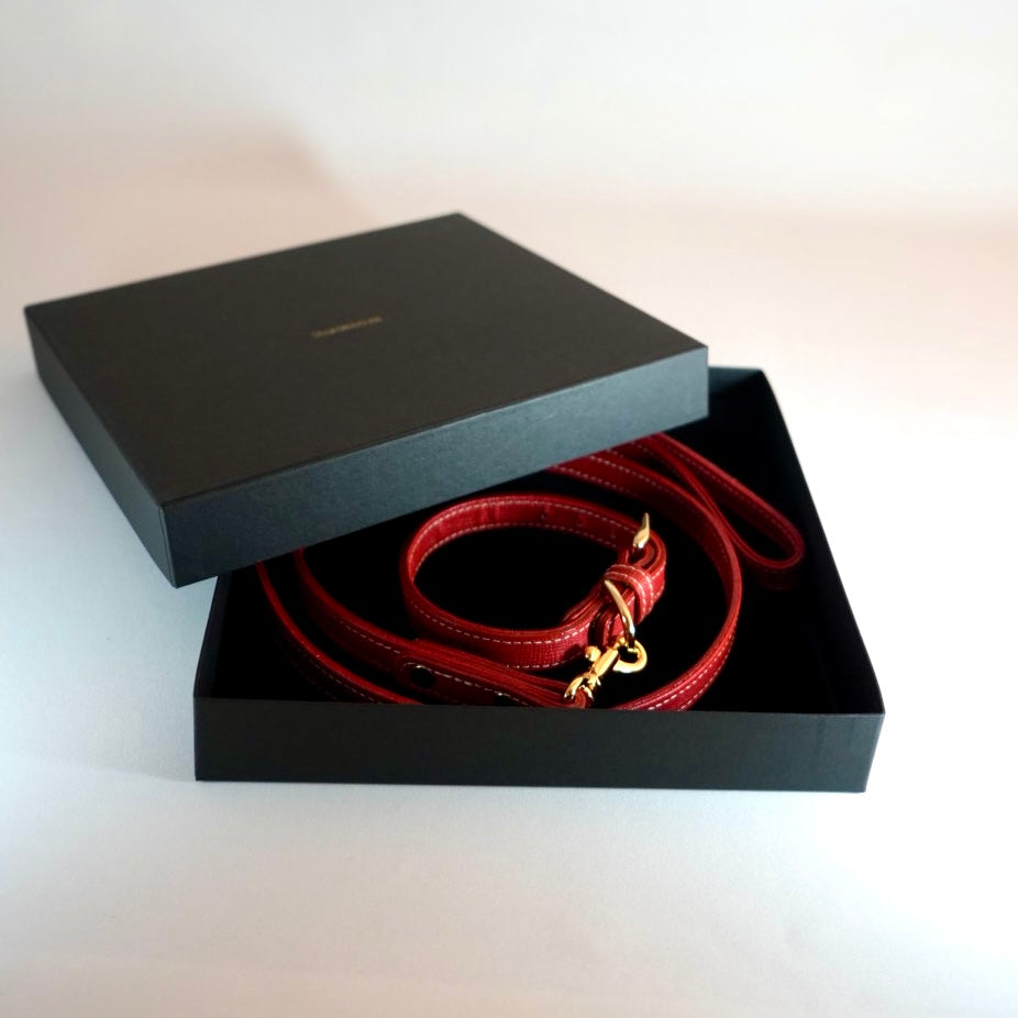 Classic standard dog collar & leash, Rosso S