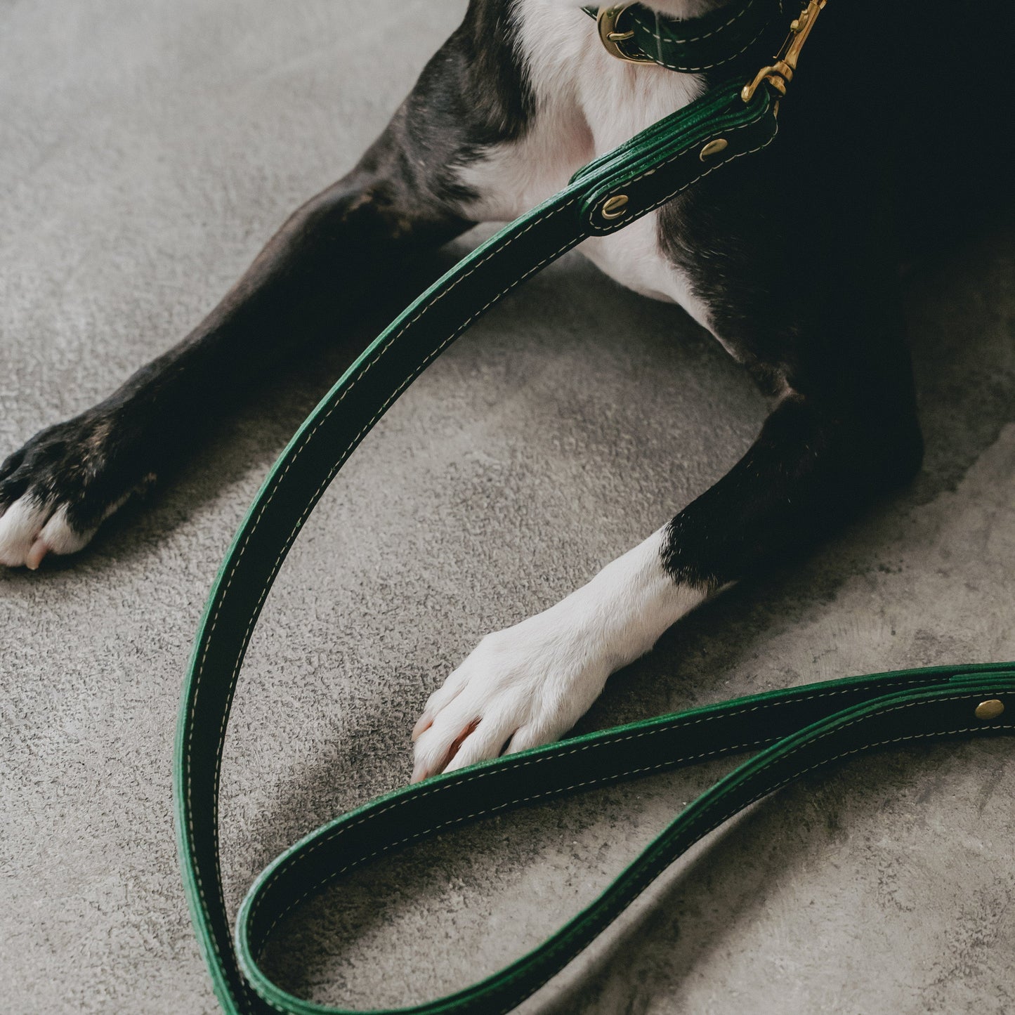 Classic standard dog collar & leash, Green M