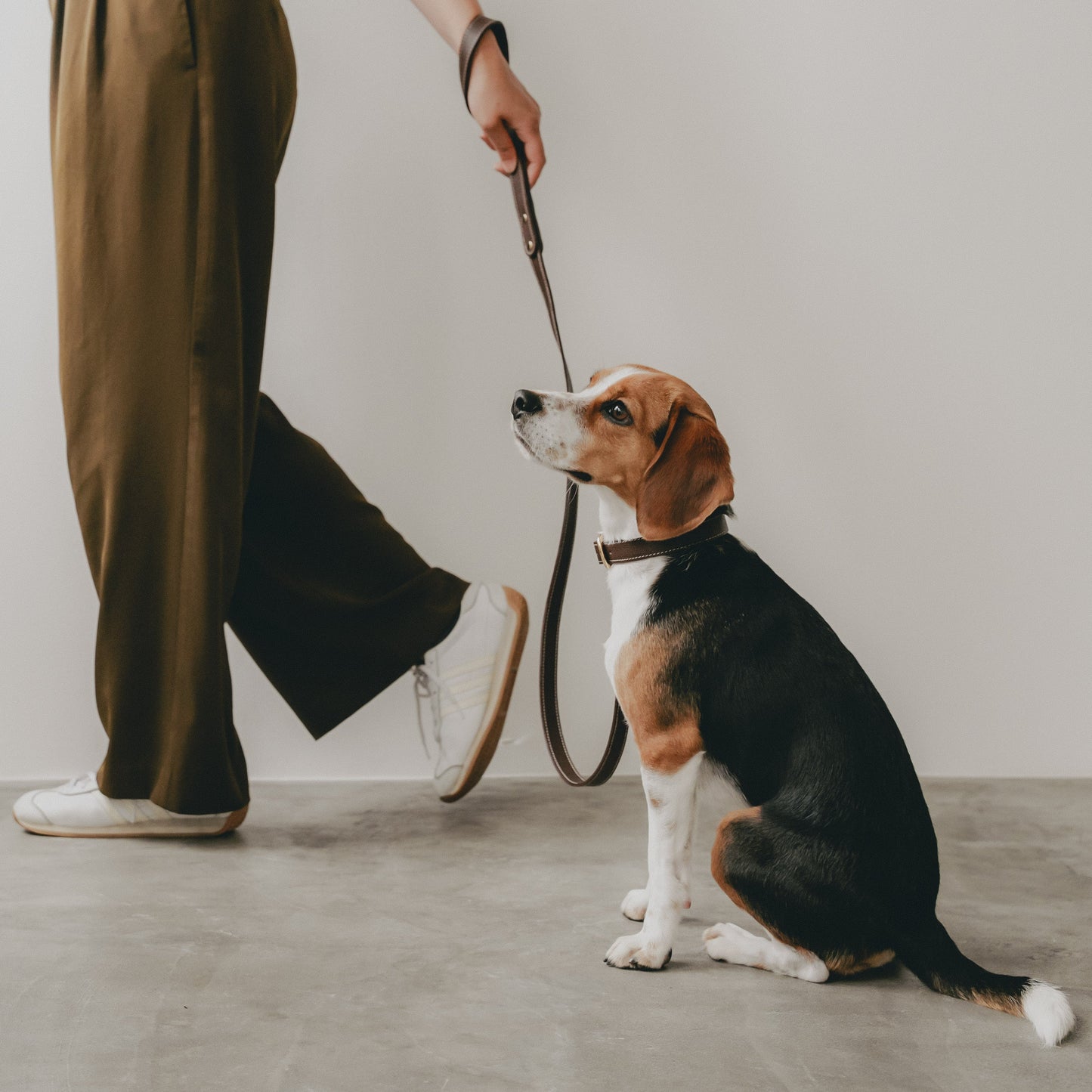 Classic standard dog collar & leash, Dark Brown M