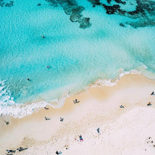 Classic standard dog collar & leash, Cobalt Blue S