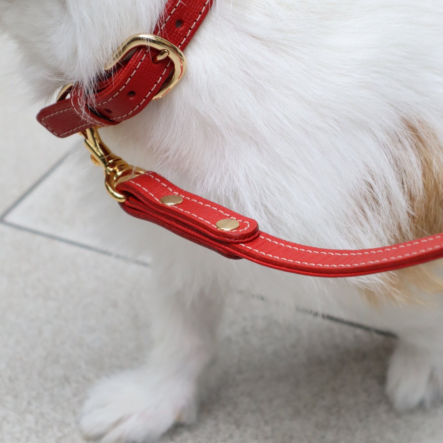 Classic standard dog collar & leash, Rosso S