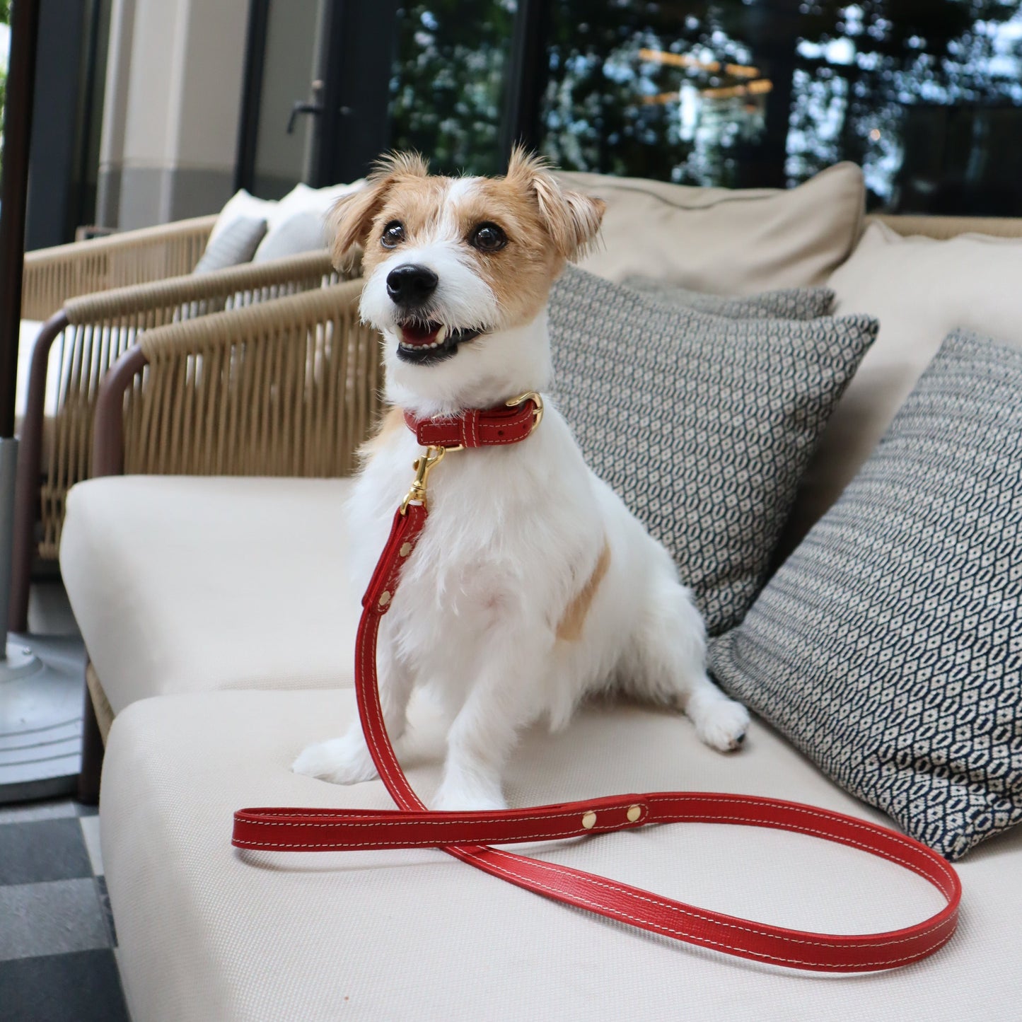 Classic standard dog collar & leash, Rosso S