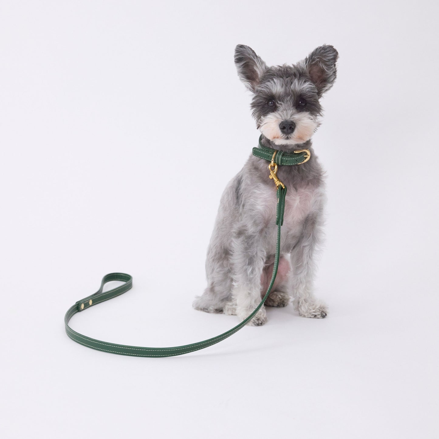 Classic standard dog collar & leash, Green S