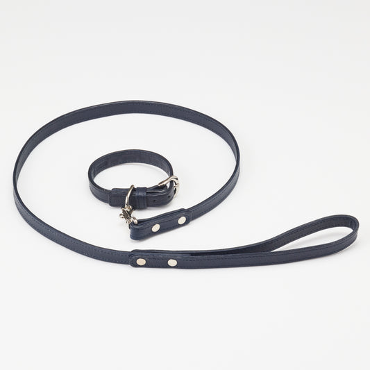Classic standard dog collar & leash, Oceano S