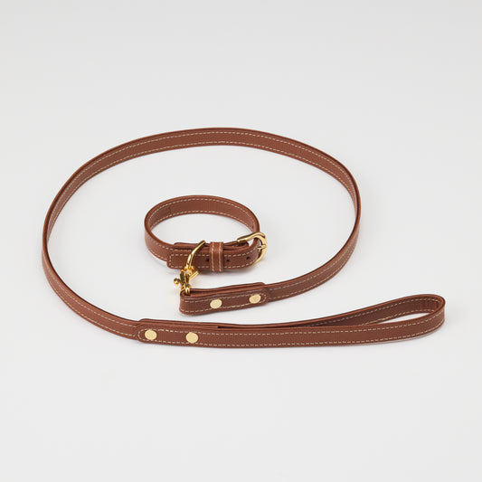 Classic standard dog collar & leash, Caramel S
