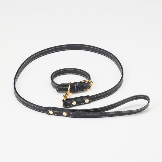 Classic standard dog collar & leash, Black S
