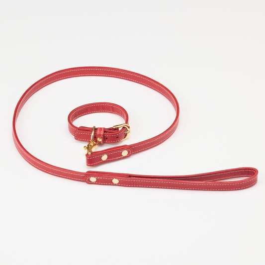 Classic standard dog collar & leash, Rosso S