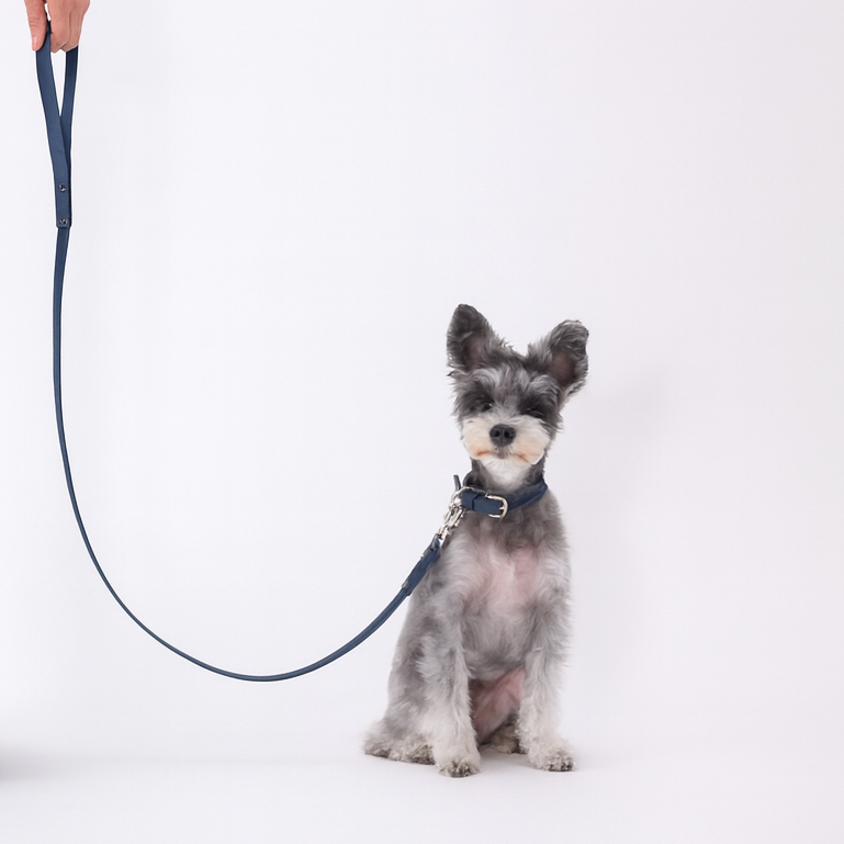 Classic standard dog collar & leash, Cobalt Blue S