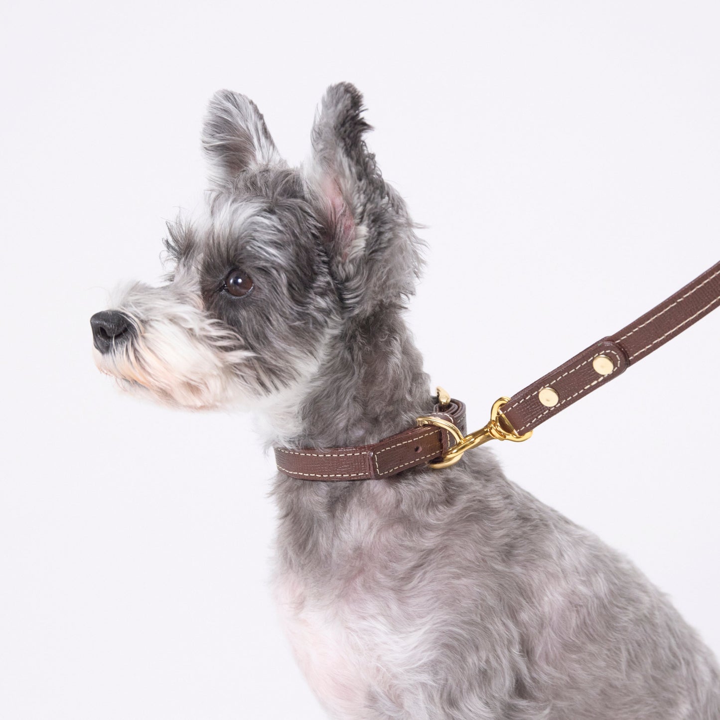 Classic standard dog collar & leash, Dark Brown S