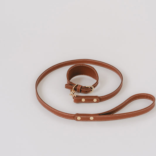 Classic wide dog collar & leash, Caramel S